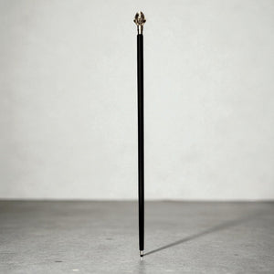 Napoleon Bonaparte Spazierstock aus Holz mit silbernem Griff aus Metall