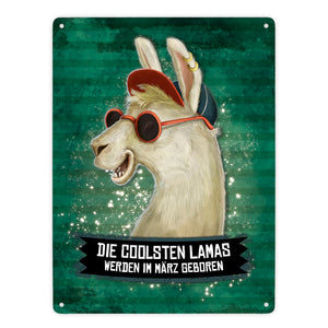 Metallschild mit Spruch: Die coolsten Lamas werden im März geboren