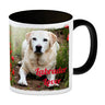 Kaffeetasse mit Fotomotiv Labrador Lover - Labrador im Mohnfeld