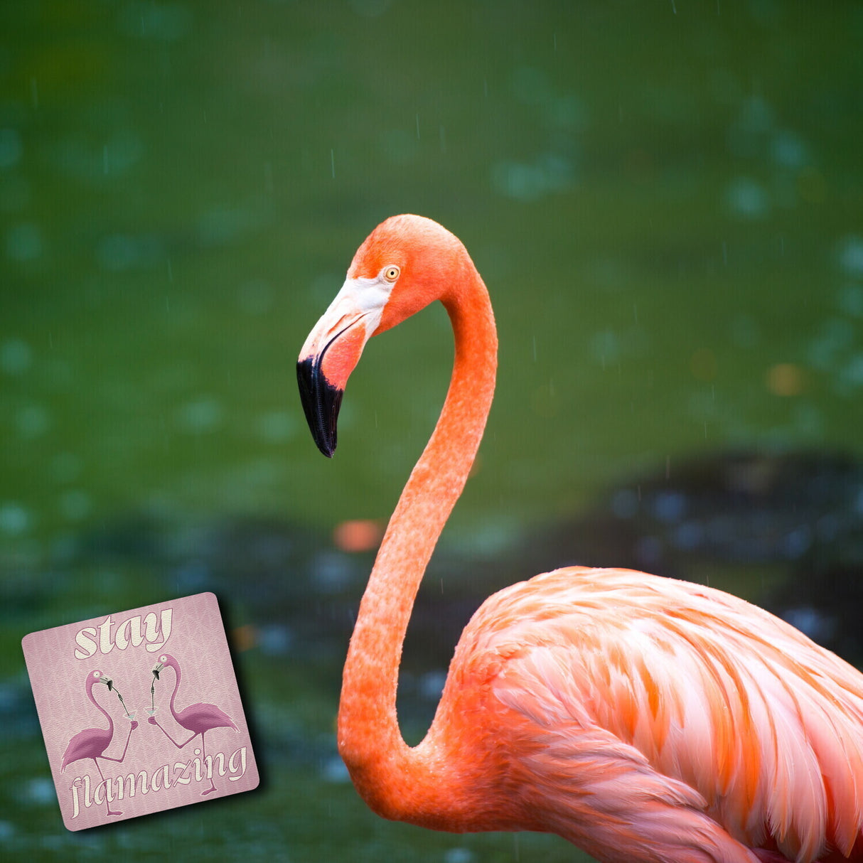 Stay flamazing Flamingo Untersetzer