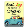 Best Joy of Life is Cabrio drive Metallschild