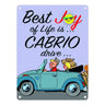 Best Joy of Life is Cabrio drive Metallschild