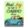 Best Joy of Life is Cabrio drive Metallschild