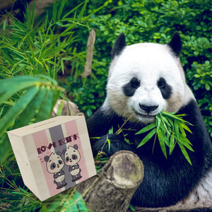 Panda Spardose mit Spruch Love Bank