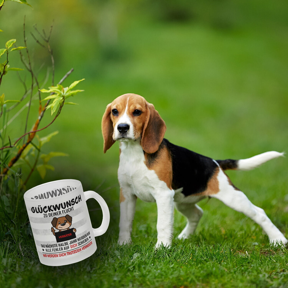 Glückwunsch zur Flucht, Verräter Mittelfinger Kaffeebecher mit Hund