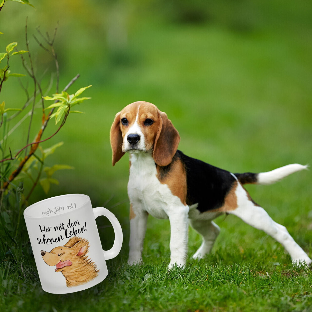 Hund Kaffeebecher mit Spruch Her mit dem schönen Leben