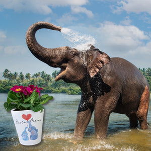 Elefant Mutter und Kind Blumentopf mit Spruch Beste Mama