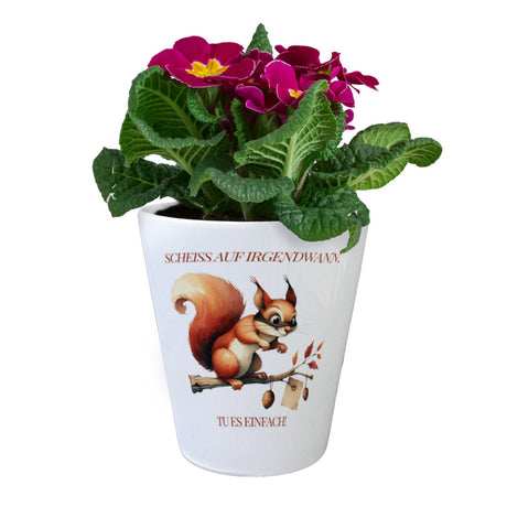 lustiges Eichhörnchen Blumentopf mit Spruch Scheiss auf irgendwann Tu es einfach
