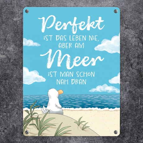 Möwe am Strand Metallschild in 15x20 cm mit Spruch Leben am Meer fast perfekt