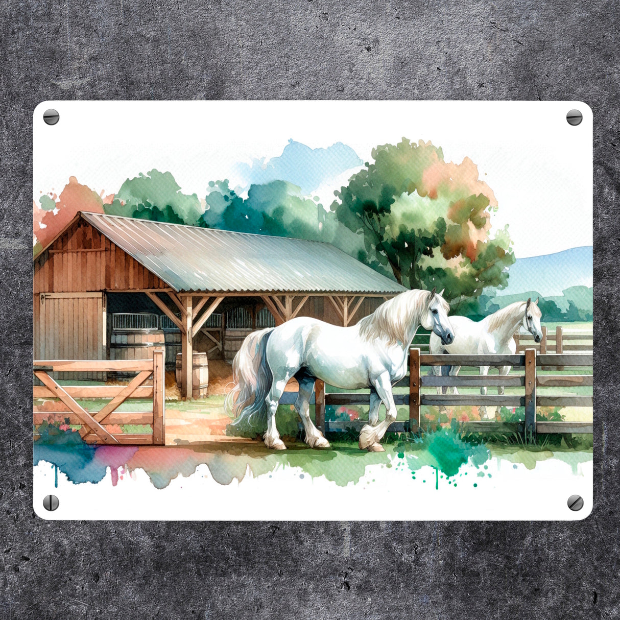 weiße Pferde auf der Koppel Metallschild in 15x20 cm