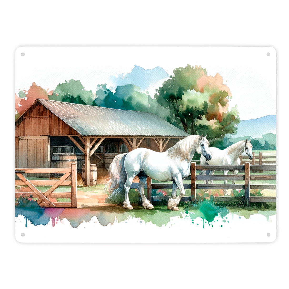 weiße Pferde auf der Koppel Metallschild in 15x20 cm