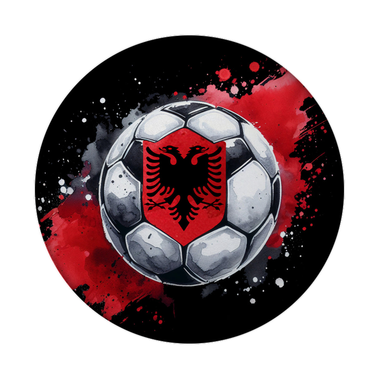 Fußball Albanien Magnet rund