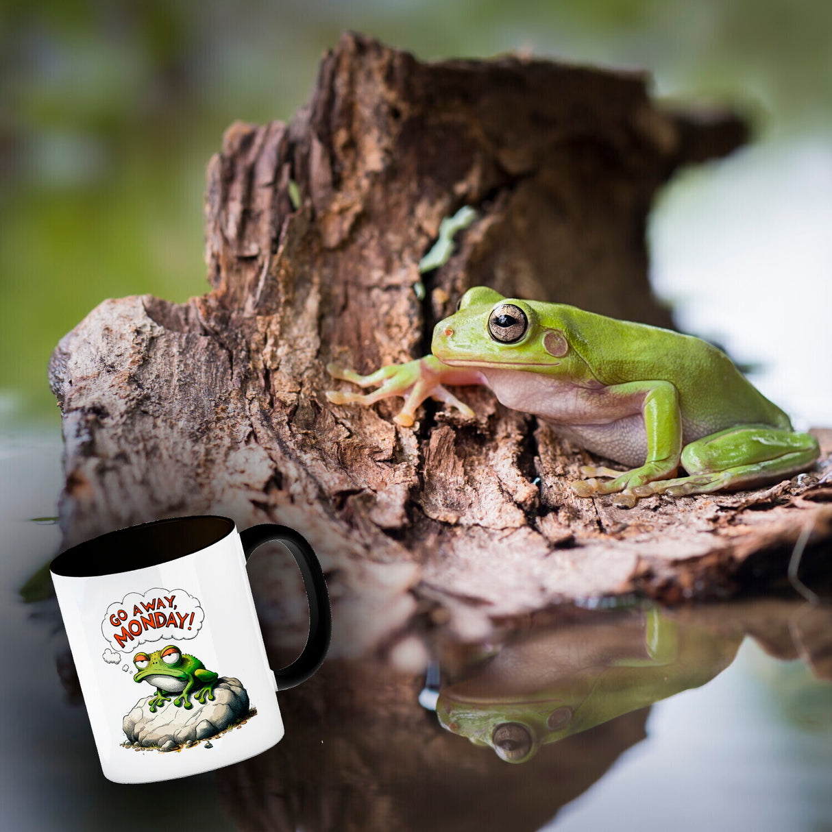 Mürrischer Frosch auf Stein Kaffeebecher mit Spruch Go away, Monday!