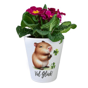 Capybara mit Kleeblatt Blumentopf mit Spruch Viel Glück