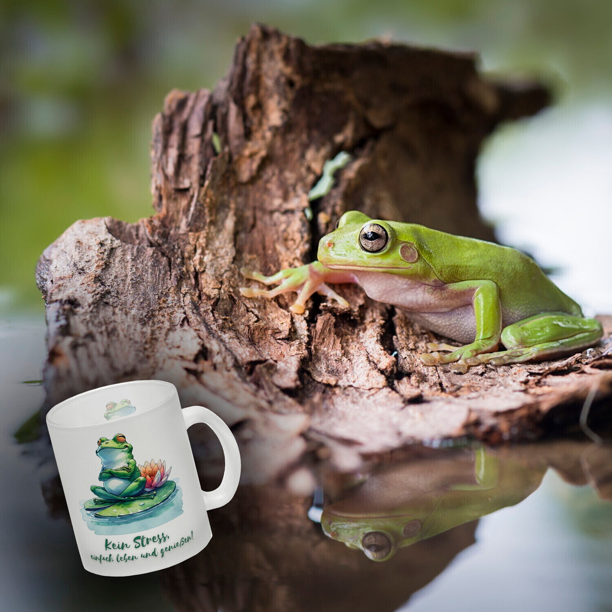 Frosch auf Seerose Kaffeebecher mit Spruch Kein Stress einfach leben und genießen