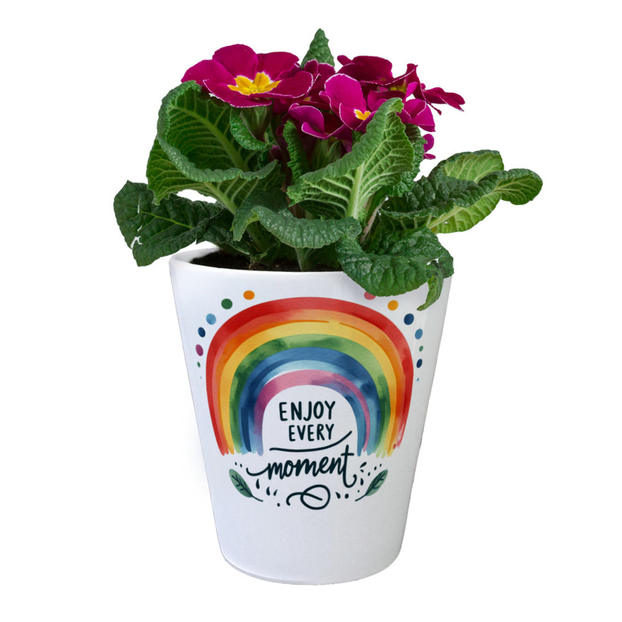 Regenbogen Blumentopf mit Spruch Enjoy every moment