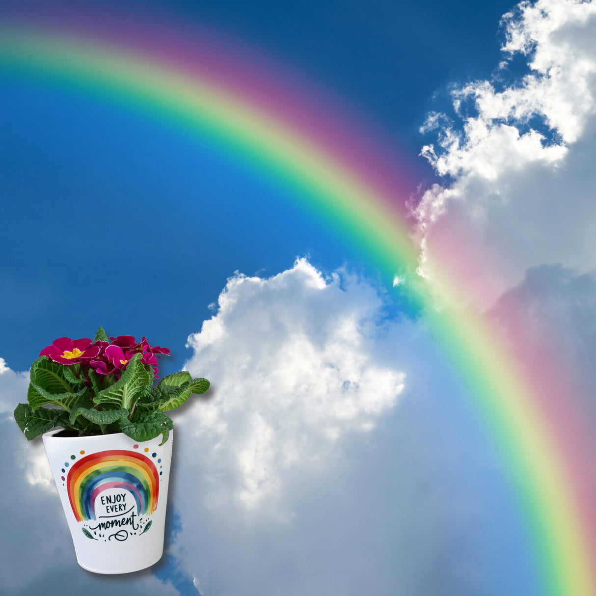 Regenbogen Blumentopf mit Spruch Enjoy every moment