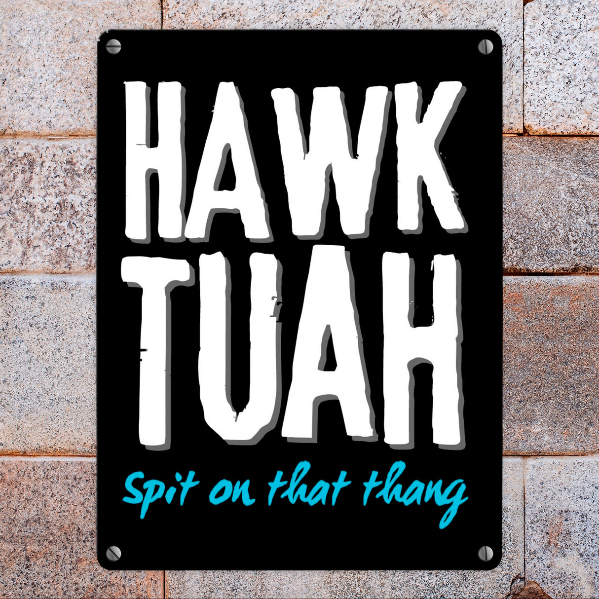 Hawk Tuah Metallschild in 15x20 cm mit Spruch Spit on that thang