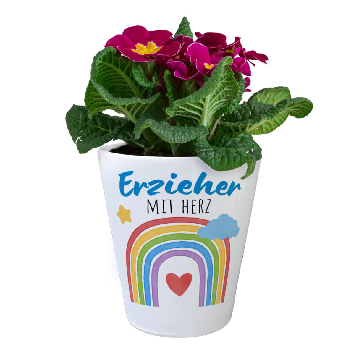 Regenbogen Blumentopf mit Spruch Erzieher mit Herz