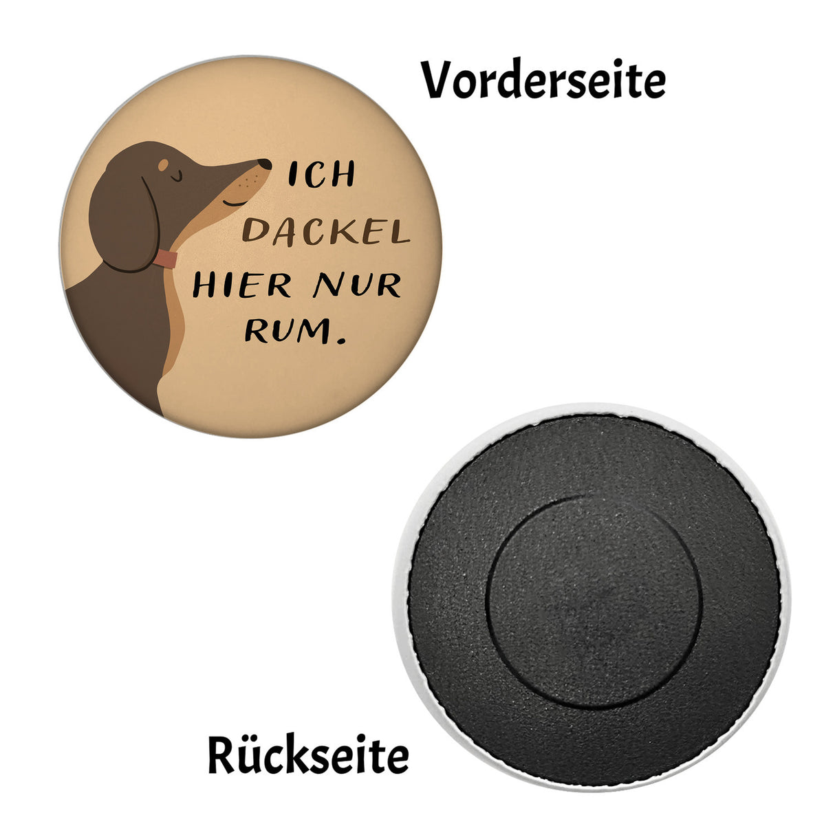 Dackel Magnet rund mit Spruch Ich dackel hier nur rum