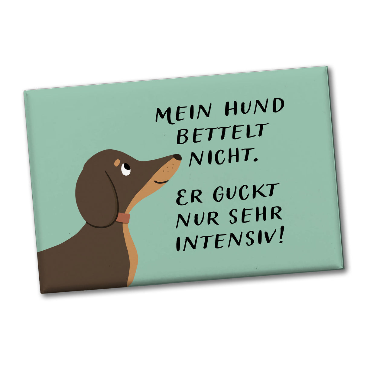 Dackel Souvenir Magnet eckig mit Spruch Hund bettelt nicht guckt intensiv