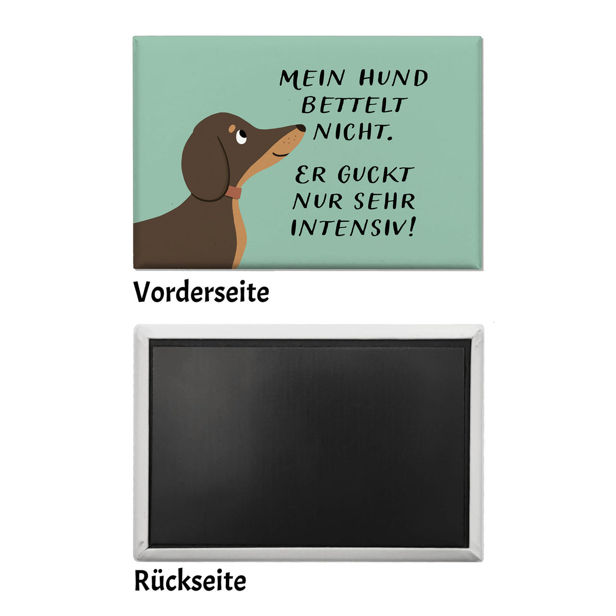 Dackel Souvenir Magnet eckig mit Spruch Hund bettelt nicht guckt intensiv