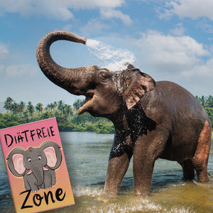 Cartoon-Elefant Diätfreie Zone Souvenir Souvenir Magnet