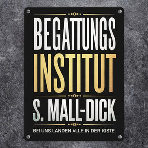 Begattungsinstitut Metallschild in 15x20 cm - Bei uns landen alle in der Kiste