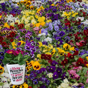 Kleine Menschen brauchen so große Herzen wie deins Blumentopf