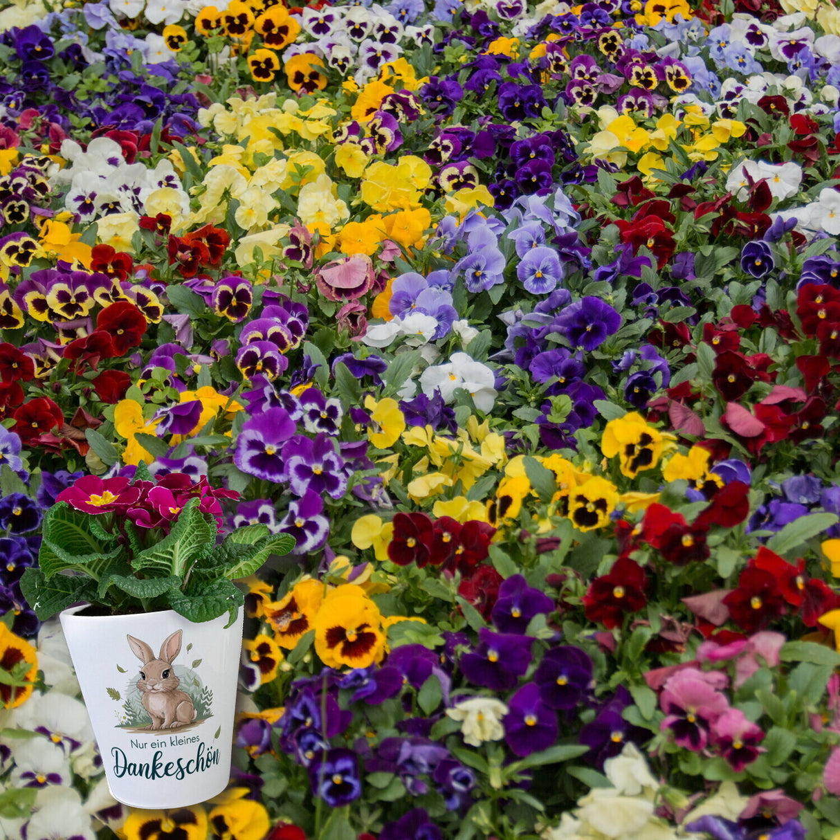 Liebenswertes Kaninchen Blumentopf - Kleines Dankeschön