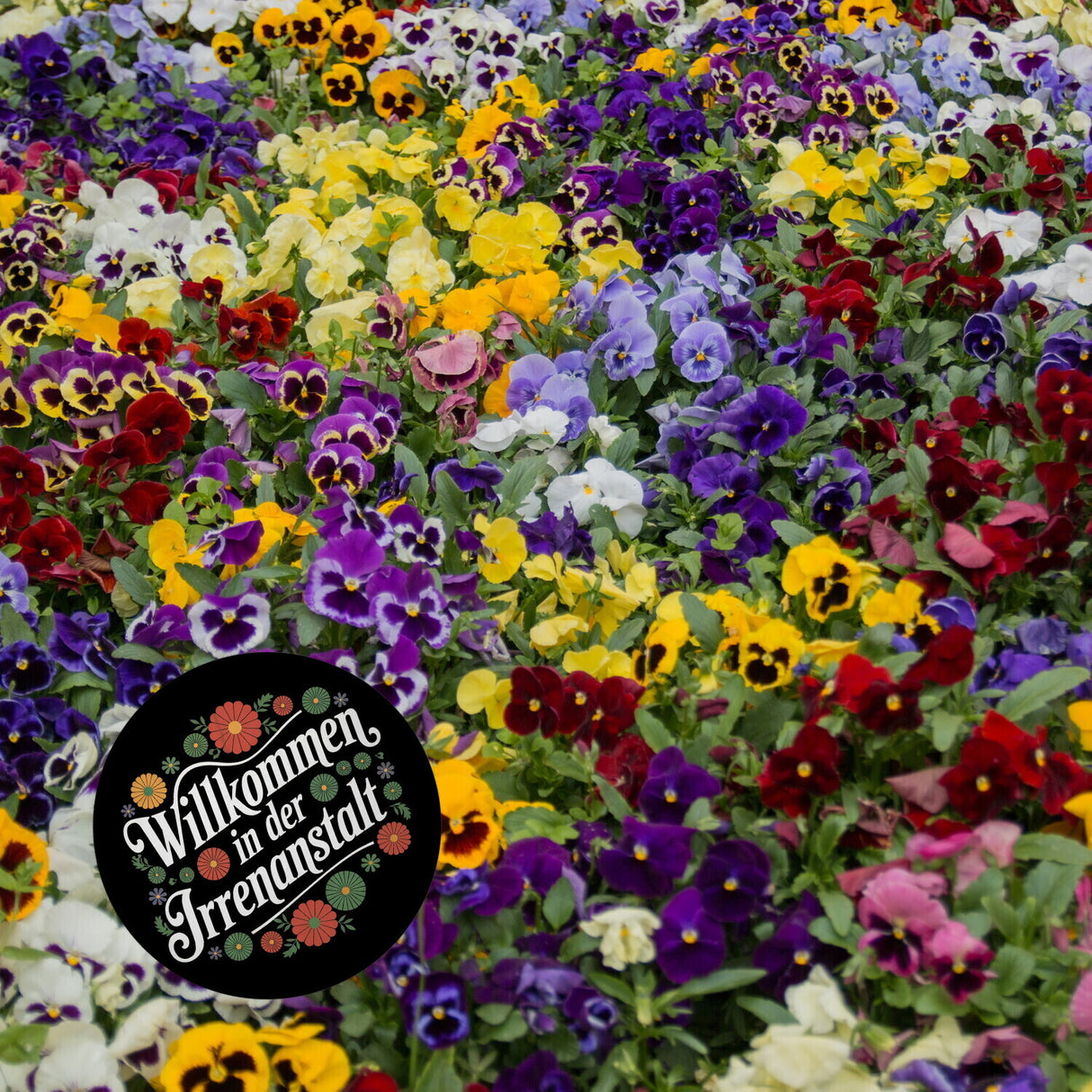 Willkommen in der Irrenanstalt Blumensprache Magnet rund