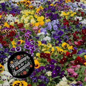 Willkommen in der Irrenanstalt Blumensprache Magnet rund