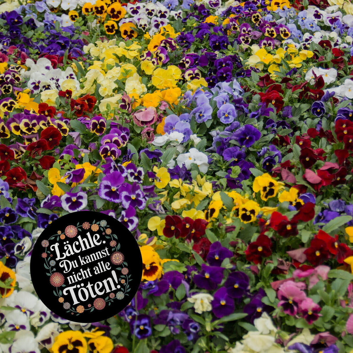 Lächle Du kannst nicht alle töten Blumensprache Magnet rund