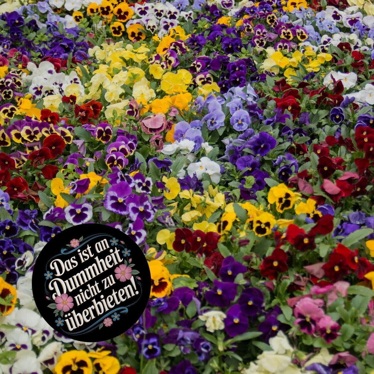 Das ist an Dummheit nicht zu überbieten Blumensprache Magnet rund