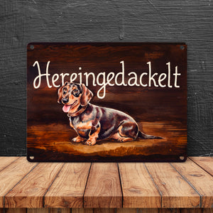 Hereingedackelt Metallschild in 15x20 cm mit Dackel