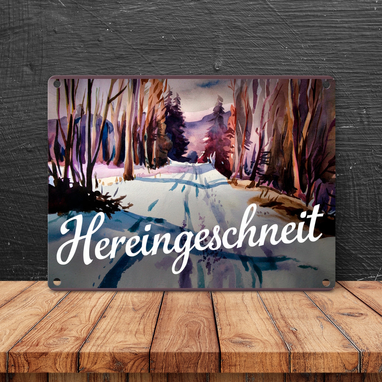 Schneepfad Hereingeschneit Metallschild in 15x20 cm