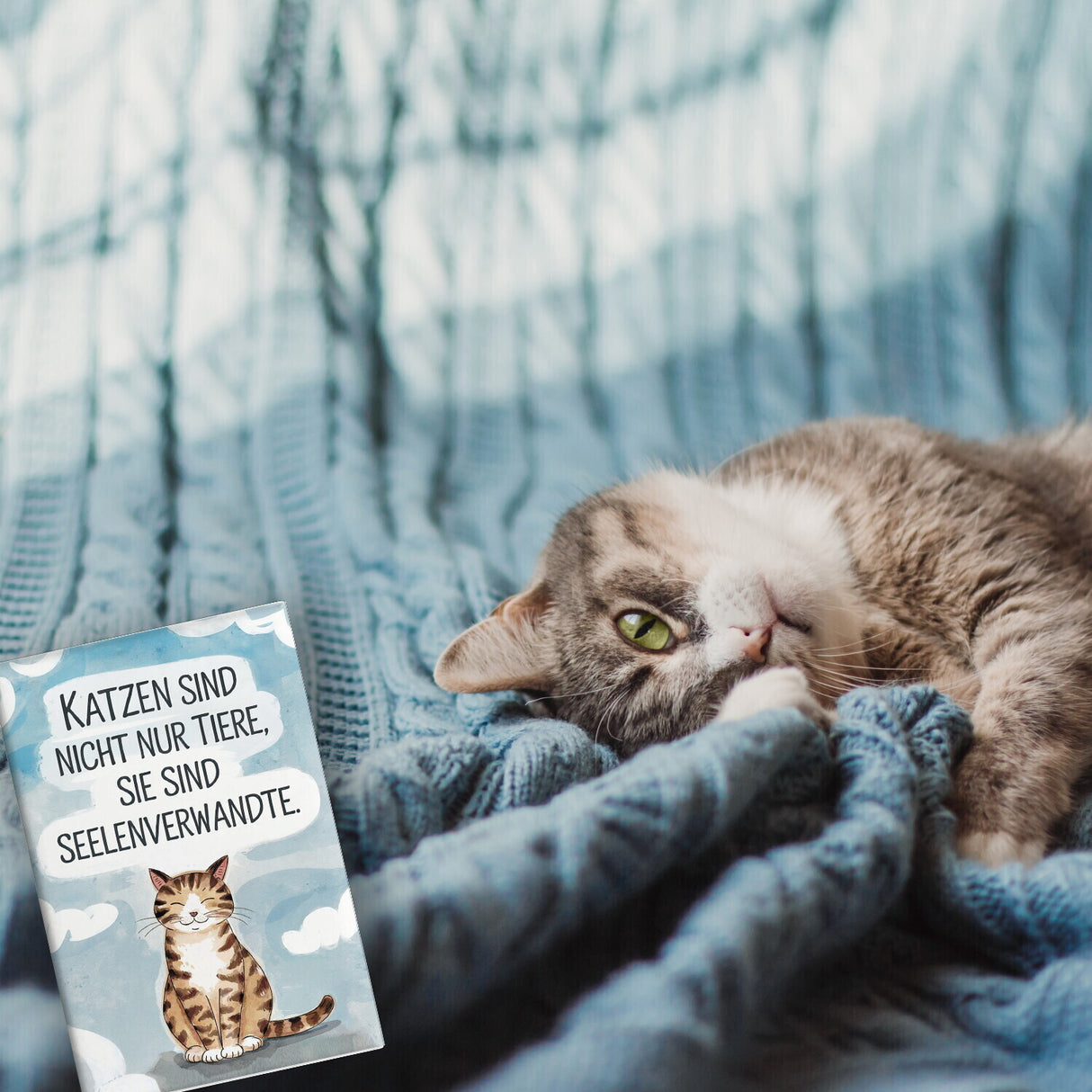 Katzen sind Seelenverwandte Souvenir Souvenir Magnet