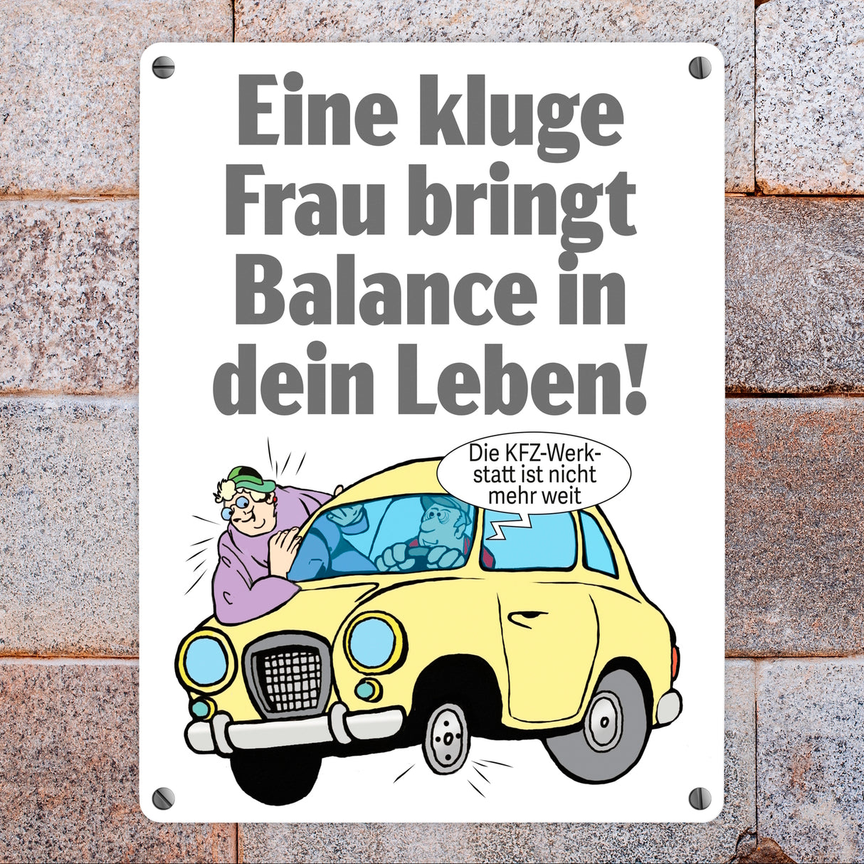 Kluge Frau bringt Lebensbalance Metallschild in 15x20 cm