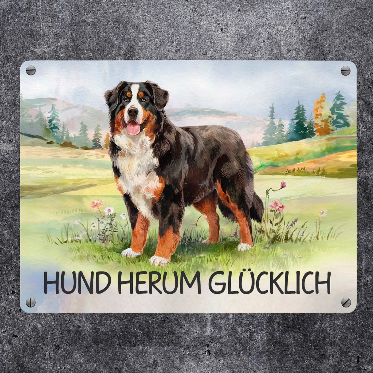 Berner Sennenhund auf der Wiese Metallschild in 15x20 cm mit Spruch Hund herum Glücklich