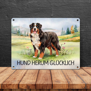 Berner Sennenhund auf der Wiese Metallschild in 15x20 cm mit Spruch Hund herum Glücklich