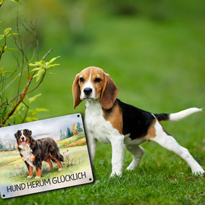 Berner Sennenhund auf der Wiese Metallschild in 15x20 cm mit Spruch Hund herum Glücklich