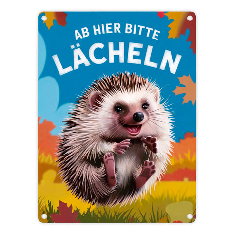 Fröhlicher Igel - Ab hier lächeln Metallschild in 15x20 cm