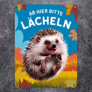 Fröhlicher Igel - Ab hier lächeln Metallschild in 15x20 cm