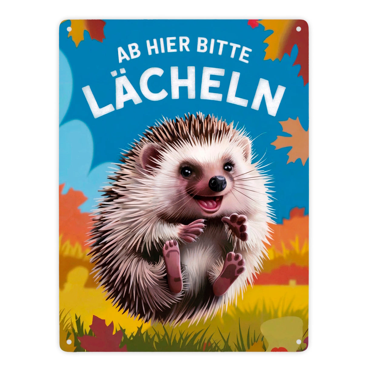 Fröhlicher Igel - Ab hier lächeln Metallschild in 15x20 cm