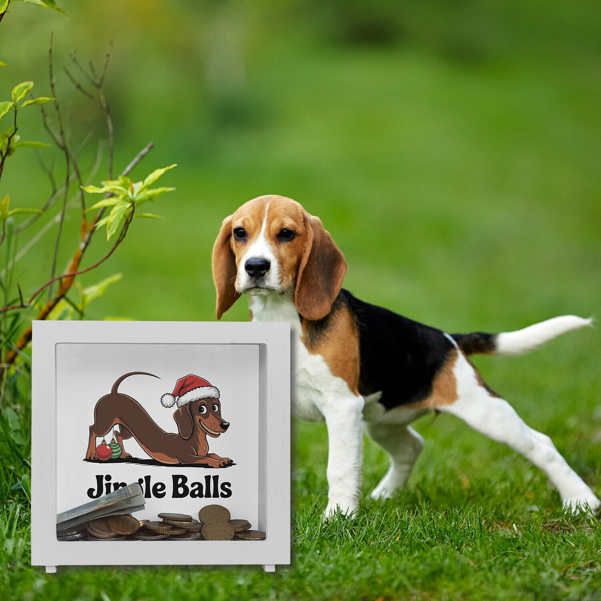 Dackel mit Weihnachtsmütze Jingle Balls Spardose