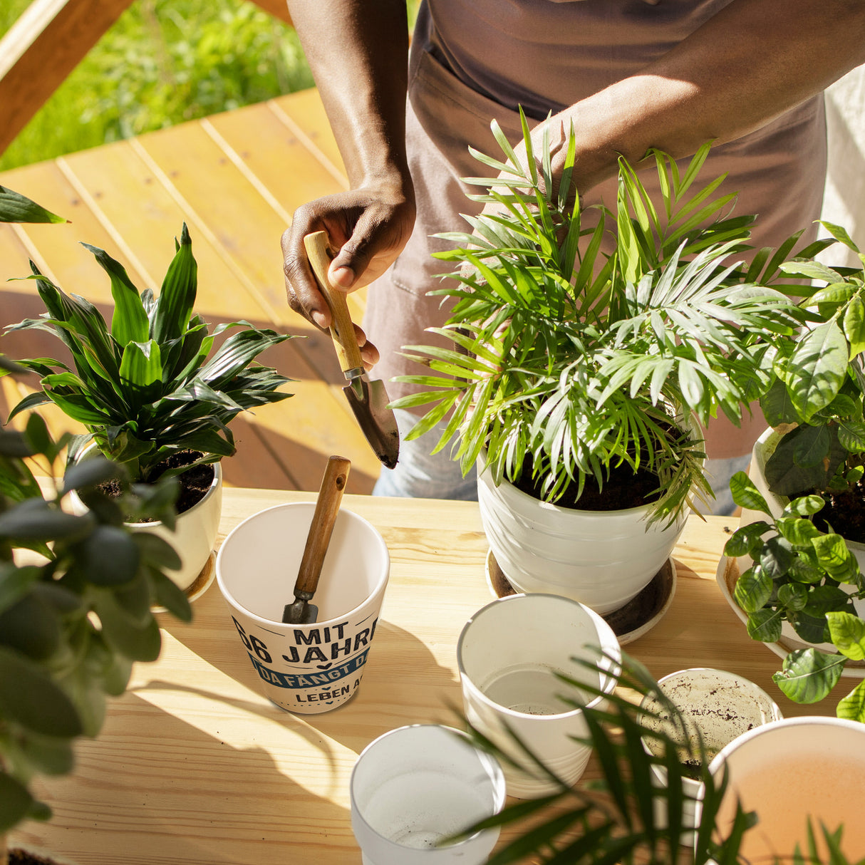 Mit 66 Jahren beginnt das Leben Blumentopf