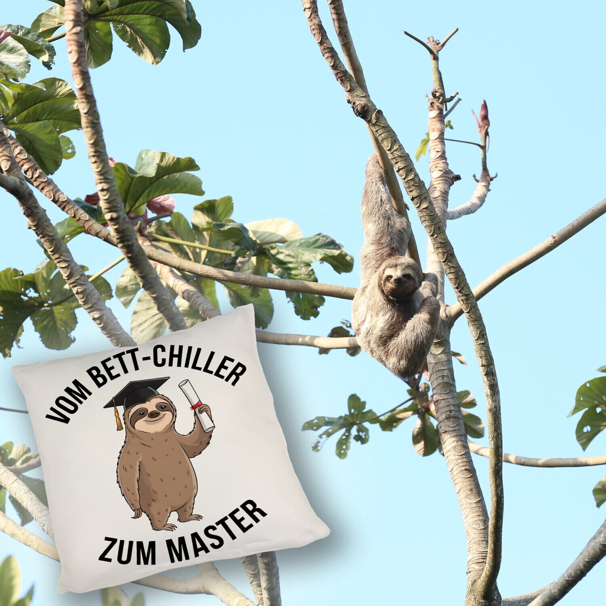 Cartoon-Faultier mit Doktorhut - Vom Bett-Chiller zum Master Kissen