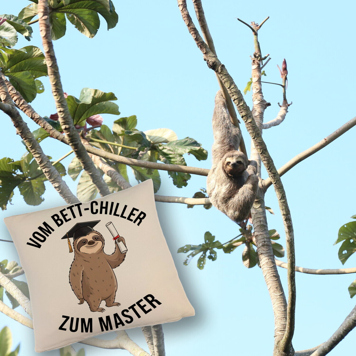 Cartoon-Faultier mit Doktorhut - Vom Bett-Chiller zum Master Kissen