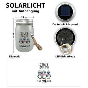 Drei niedliche Pinguine Solarlicht - Es war cool mit dir