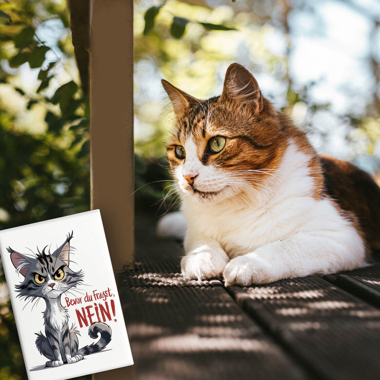 Ernste Katze - Bevor du fragst NEIN Souvenir Souvenir Magnet